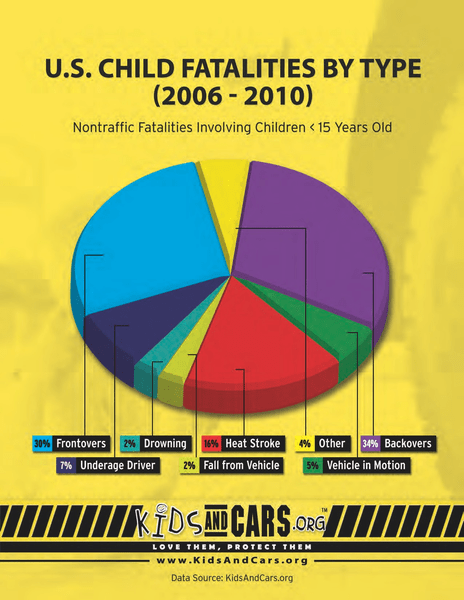 US Child Fatalities by Type