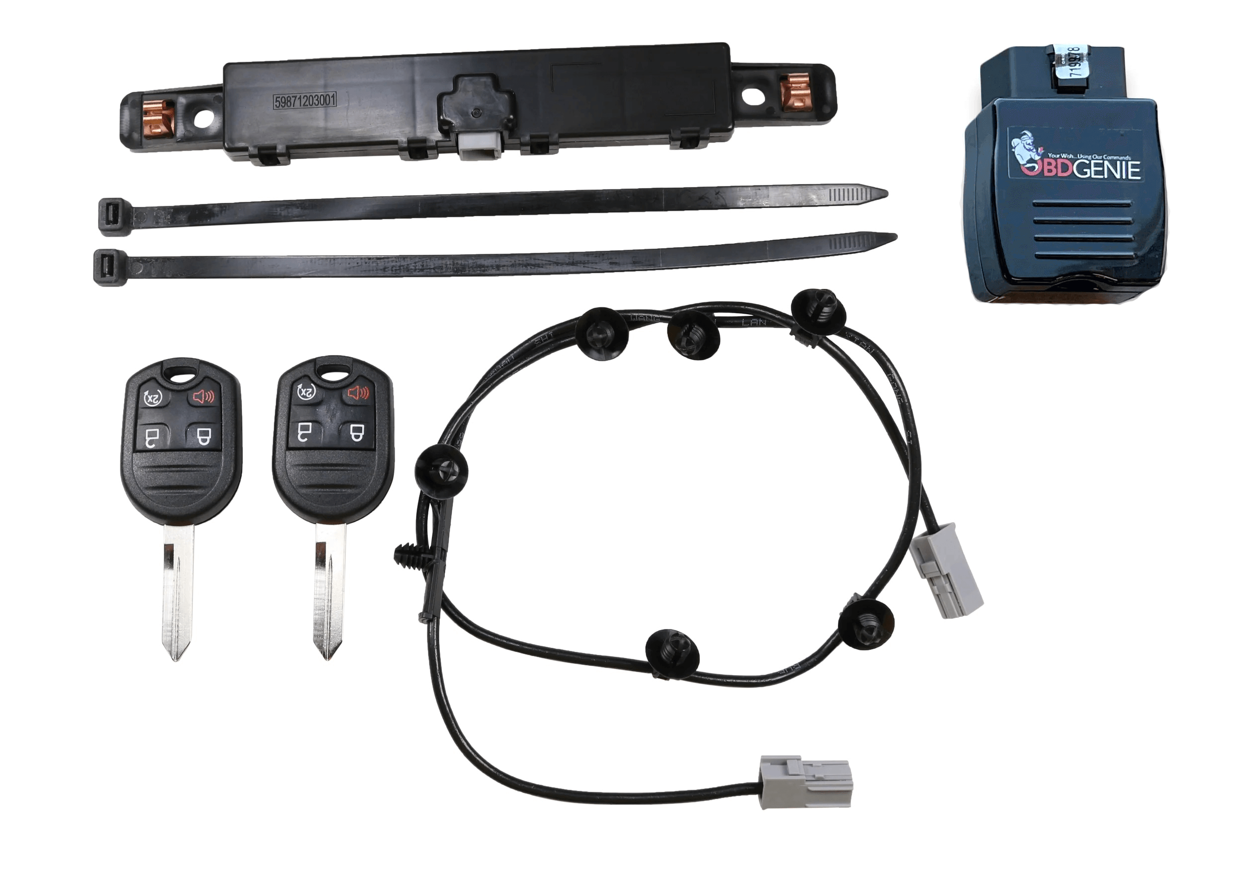 Ford OEM Remote Start Bundle